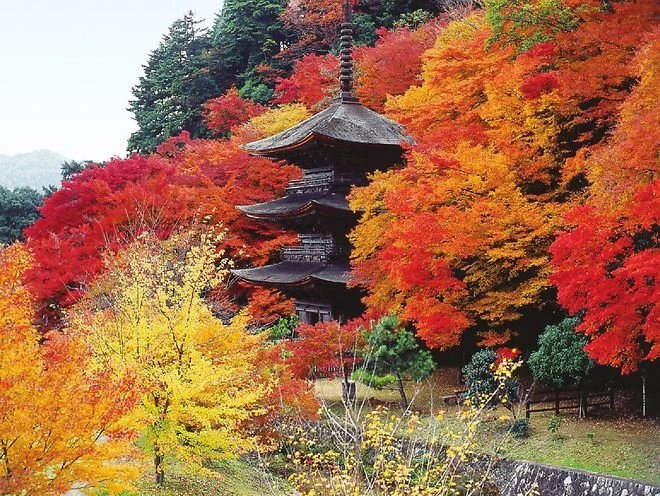 🏯 자금산 천녕사 (시킨산 텐네이지, 임제종 묘심사파) 이미지 1